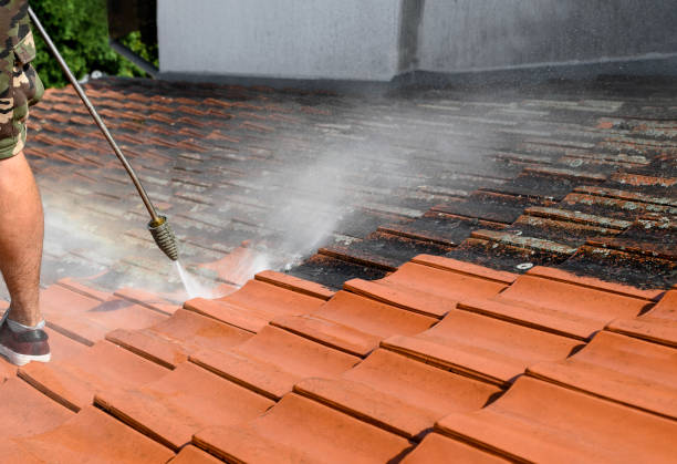 Best Residential Pressure Washing Services  in Dubach, LA