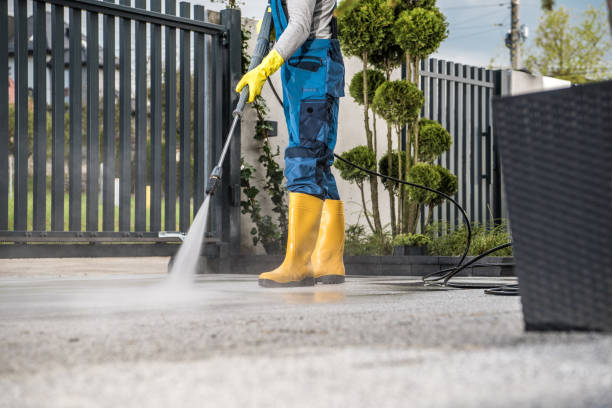 Best Best Pressure Washing Companies  in Dubach, LA